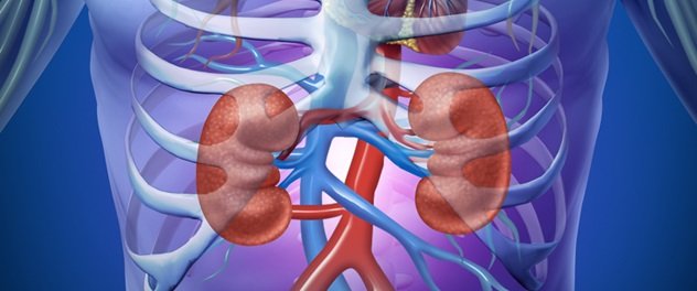 Nephrology kidney care