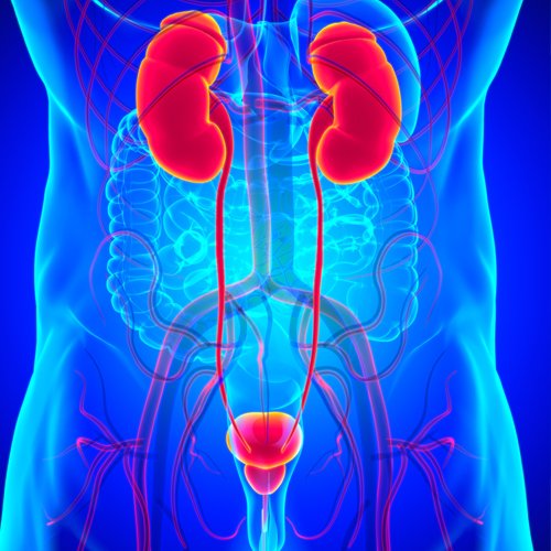 Urology care